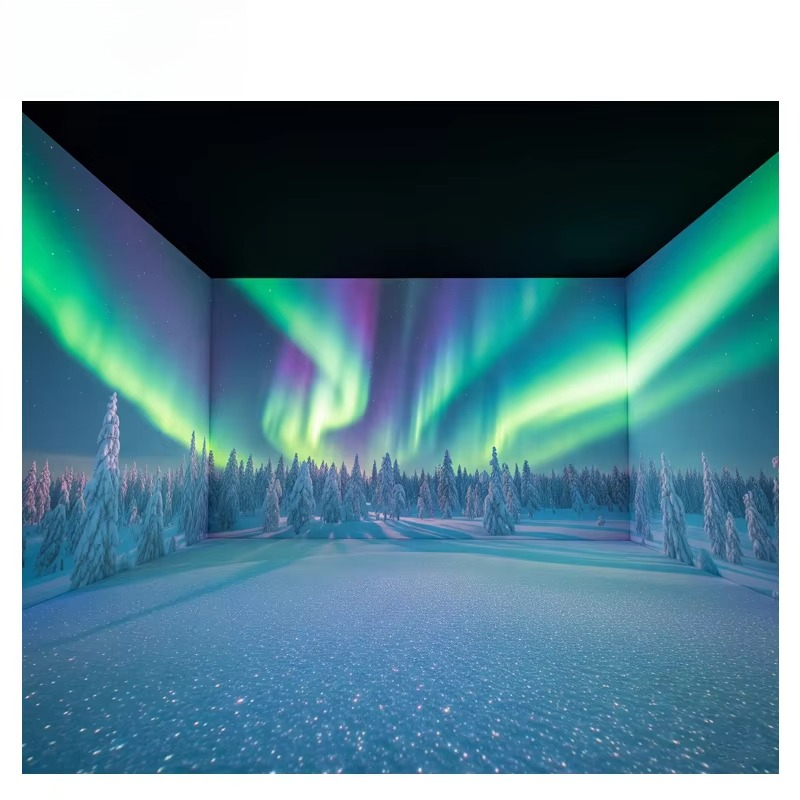 OEM&ODM Immersive Projector La - Gymnastics Beam Floor avis et prix