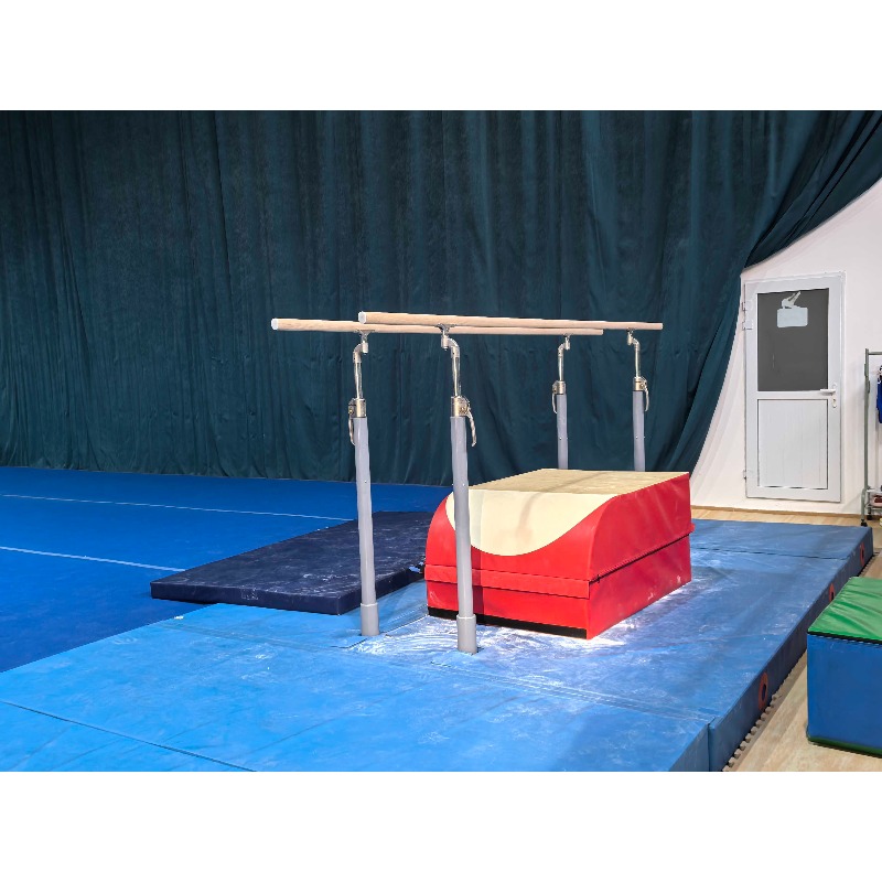 Professional gymnastics equipm - Gymnastics Beam Floor avis et prix